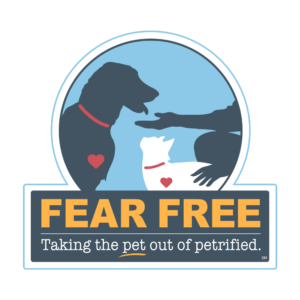 Fear Free