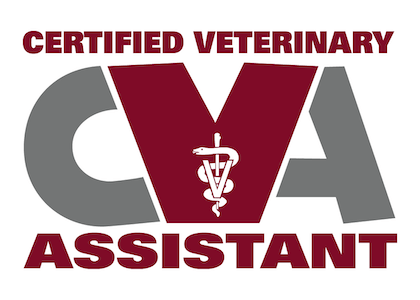 Certified Veterinary Assistant