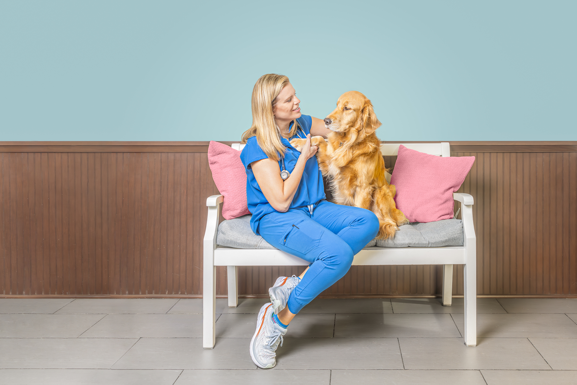 Highland Park Animal Hospital has a new Online Store