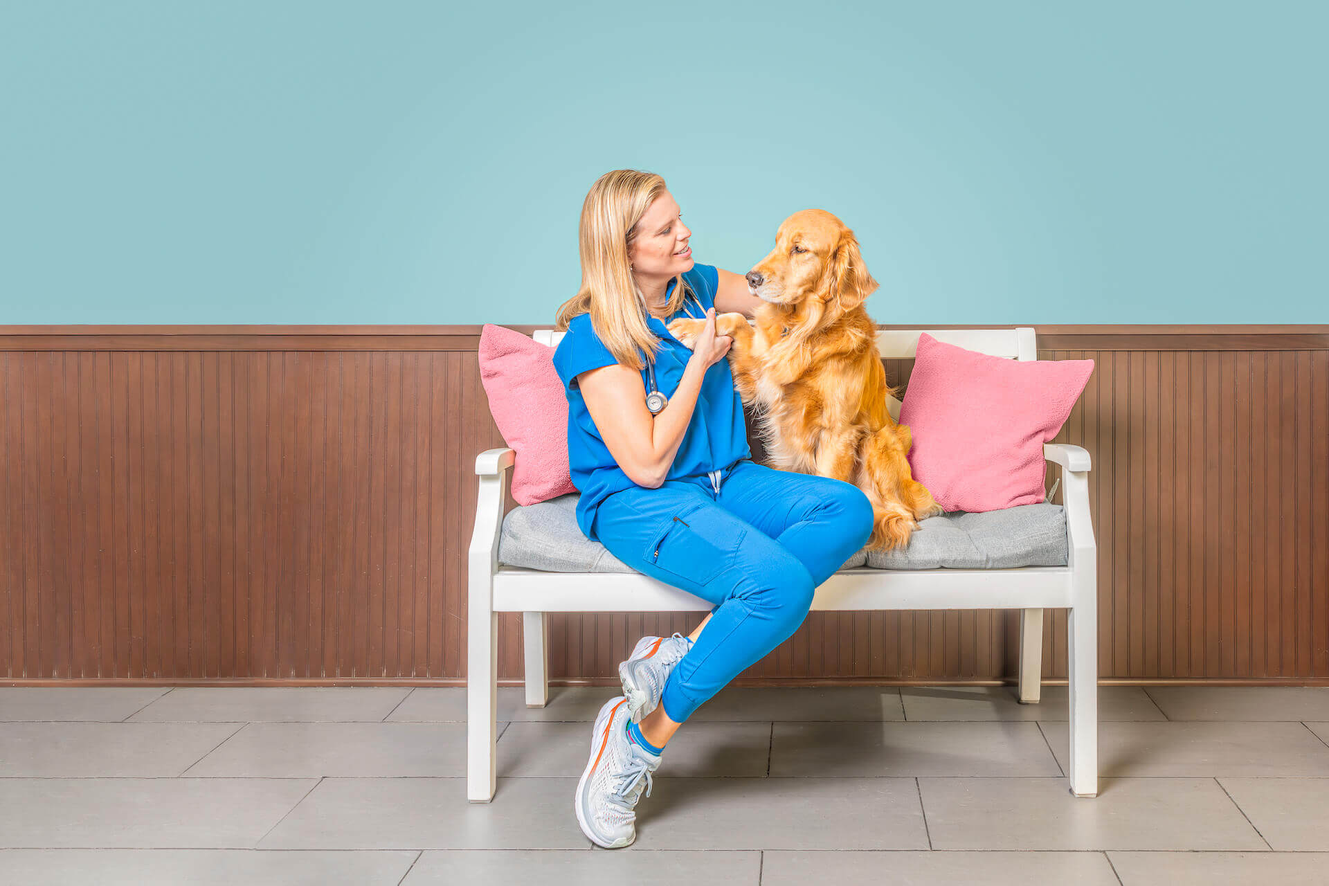 Welcome to Highland Park Animal Hospital