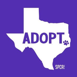 SPCA Strut Your Mutt