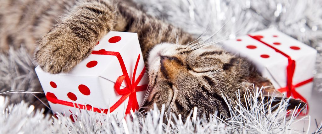 Pet-Proofing the Holiday Season : A Guide to a Happy Holiday
