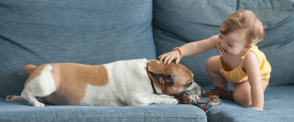 Baby Training Your Dog