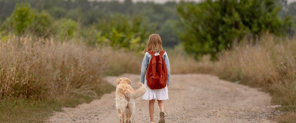 Back to School, Pet Edition: Helping Your Dog with Separation Anxiety