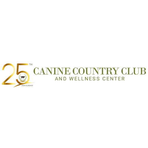 25thanniversarylogo