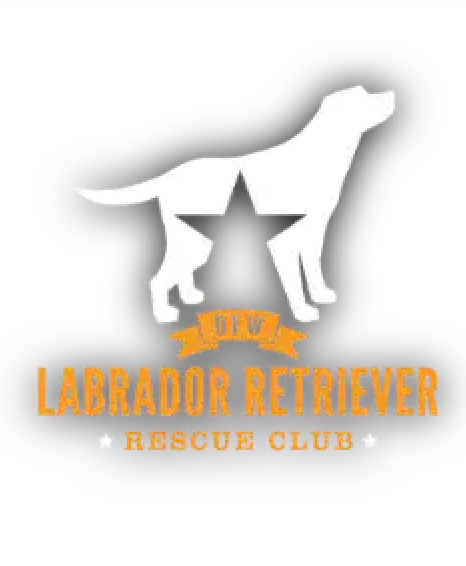 dfw lab rescue