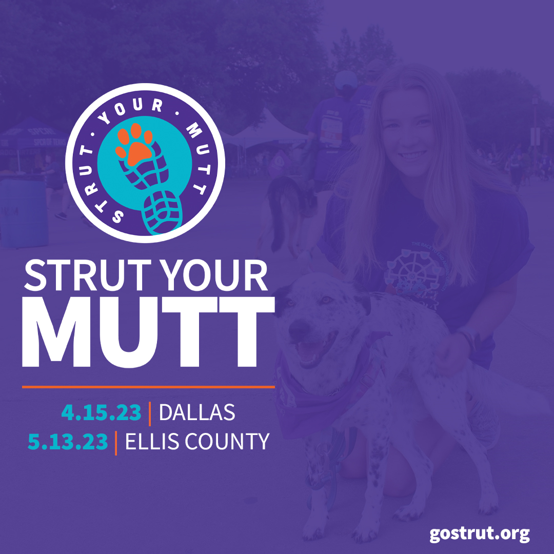 strut your mutt 