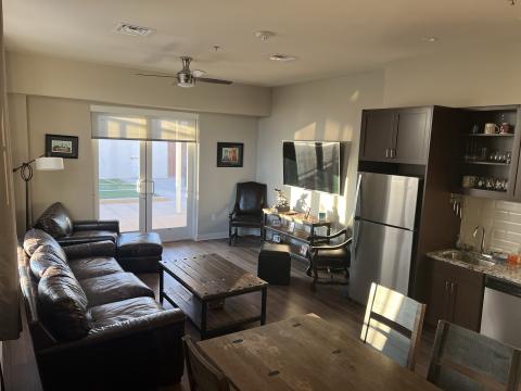 Externship Suite Apartment - Kitchen/ Living Room 