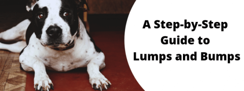 A Step-by-Step Guide to Lumps and Bumps