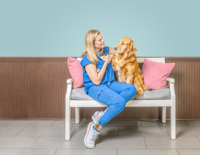 Highland Park Animal Hospital has a new Online Store