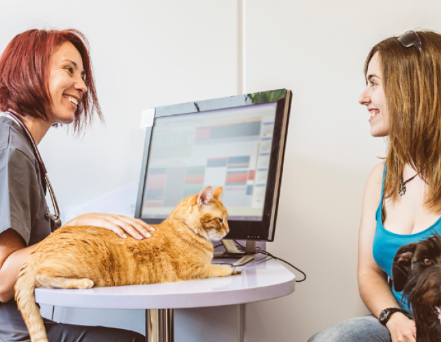 Highland Park Animal Hospital: Top Rated Dallas Veterinarians Highland Park Animal Hospital: Top Rated Dallas Veterinarians